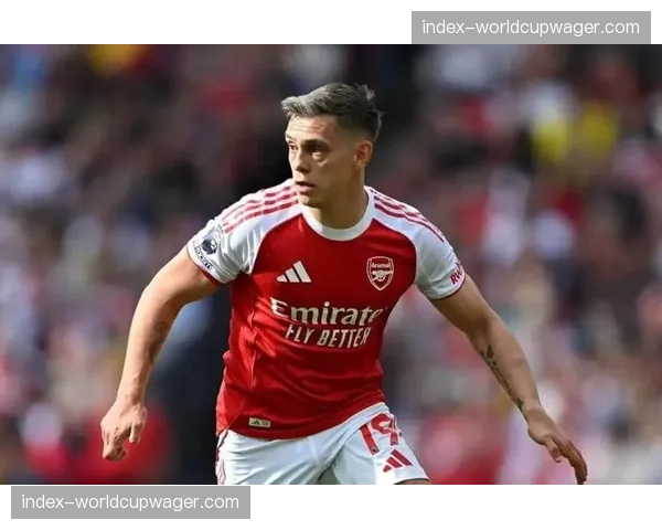 那不勒斯否认与阿森纳就特罗萨德转会展开接触